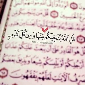 Meet your Posher, Gehad